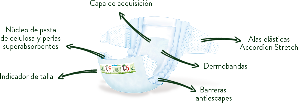 Indicador de talla Indicador de talla 1 3