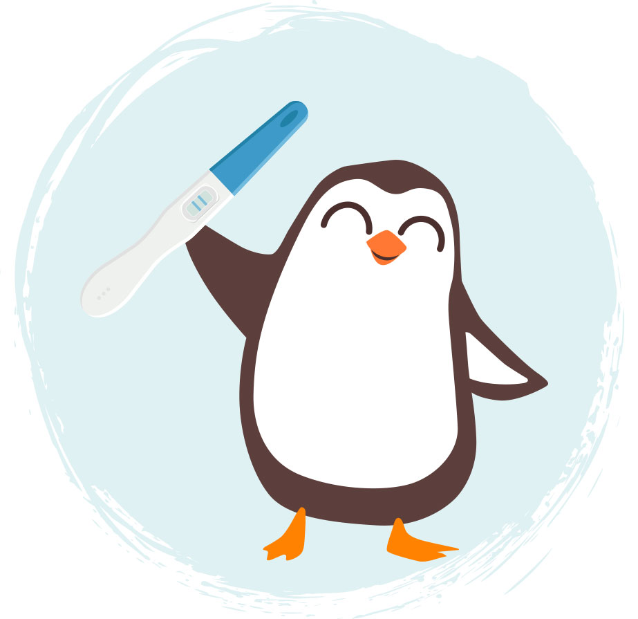 Chelino Calendario embarazo Fondo Semana 01 02 03